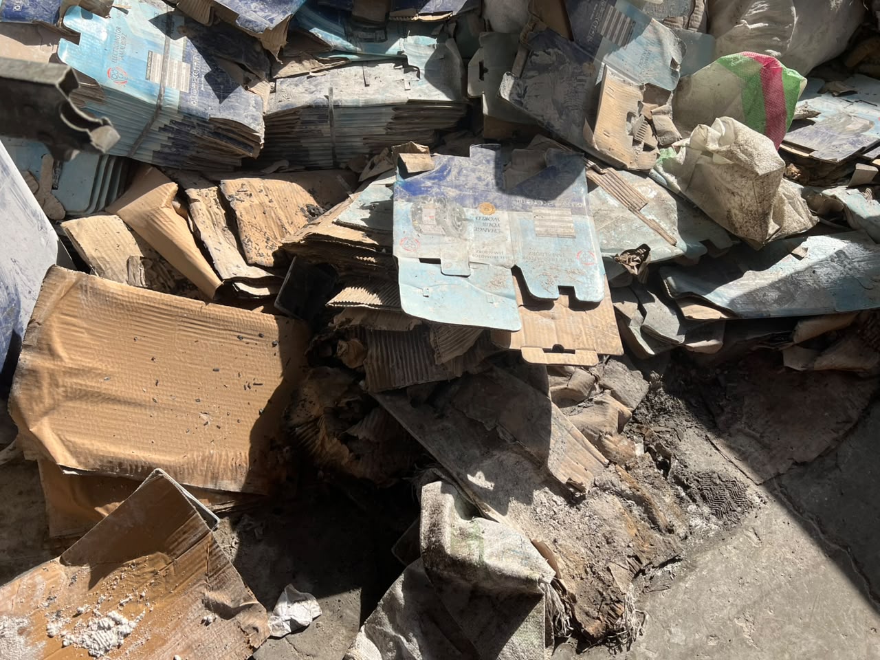 موتور جم البرز